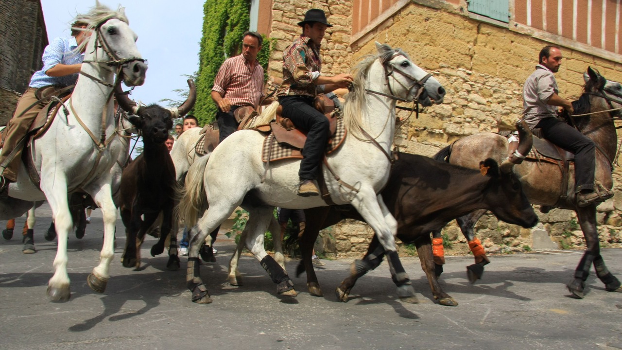 Photo of Others in Saint-Quentin-la-Poterie