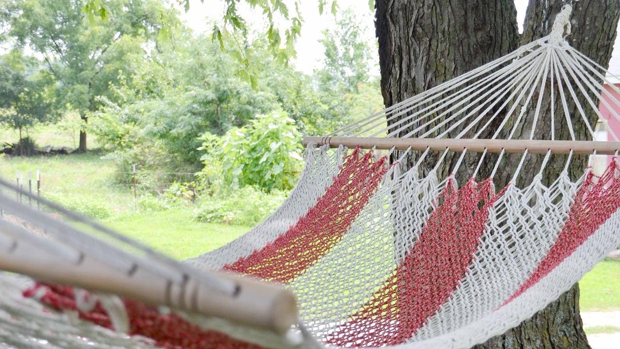 Photo of Outdoor in Jasper County