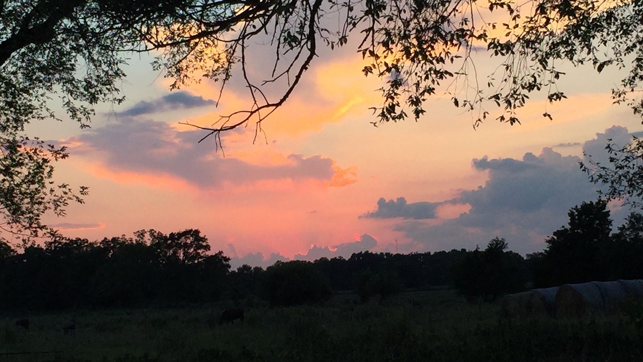 Photo of Others in Jasper County
