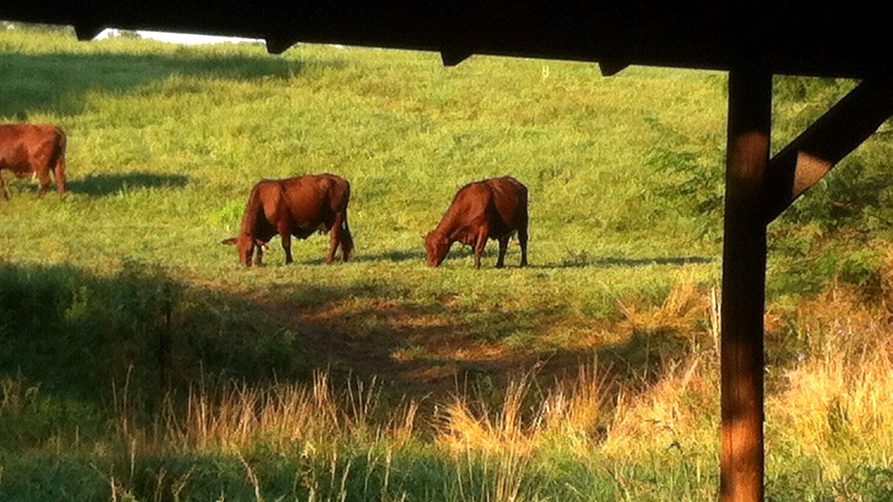 Photo of Others in Jasper County
