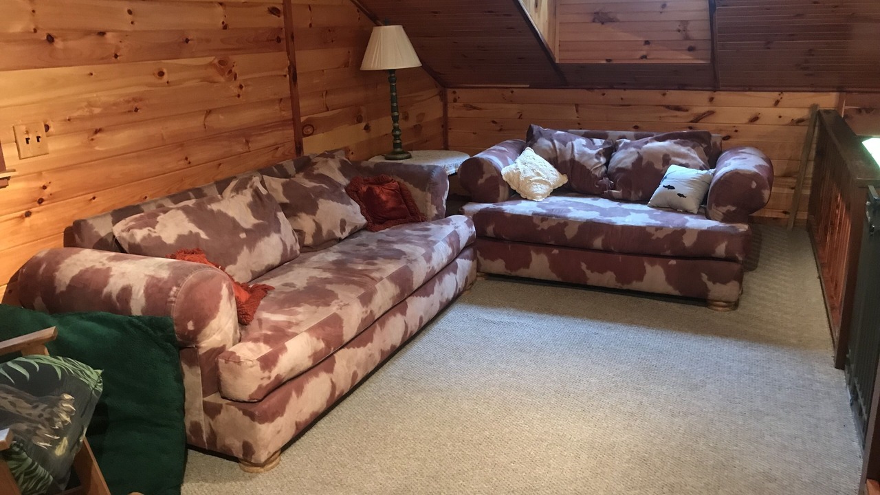 Photo of Livingroom in Doniphan