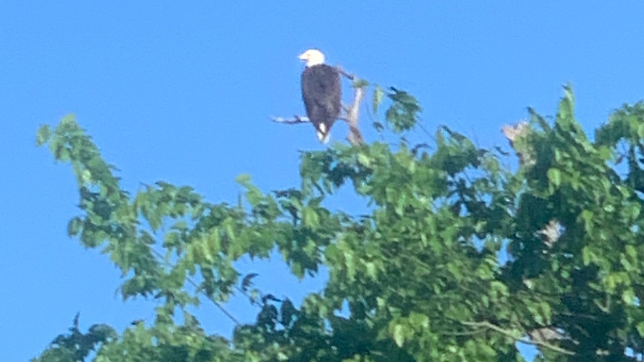 Photo of Others in Van Zandt County