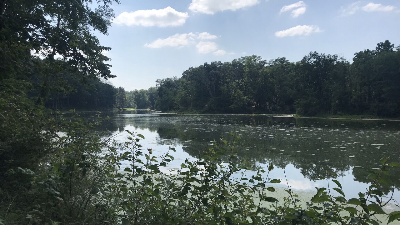 Photo of Outdoor in Williamstown