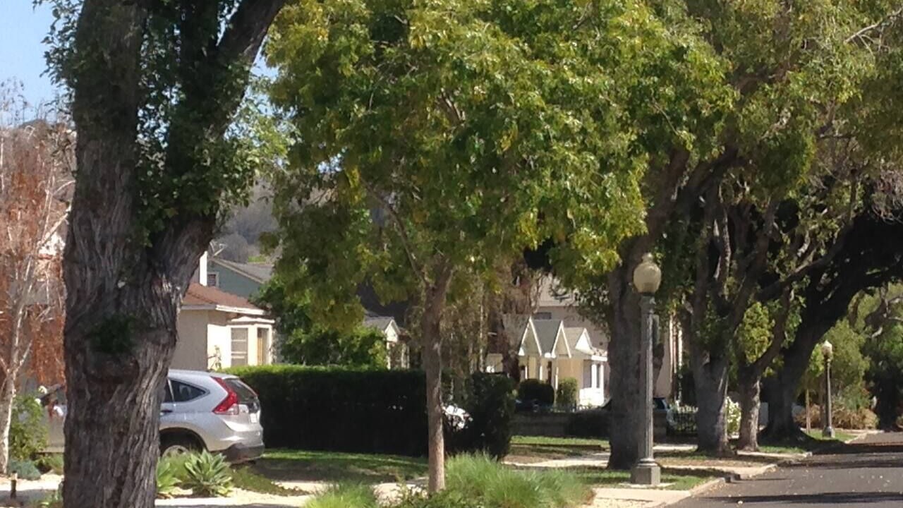 Photo of Others in Carlson Park