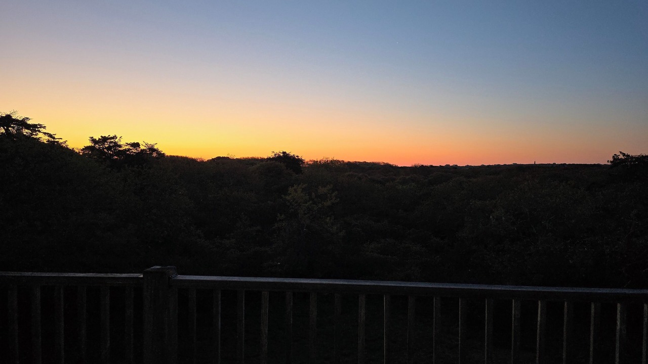 Photo of Others in Nantucket