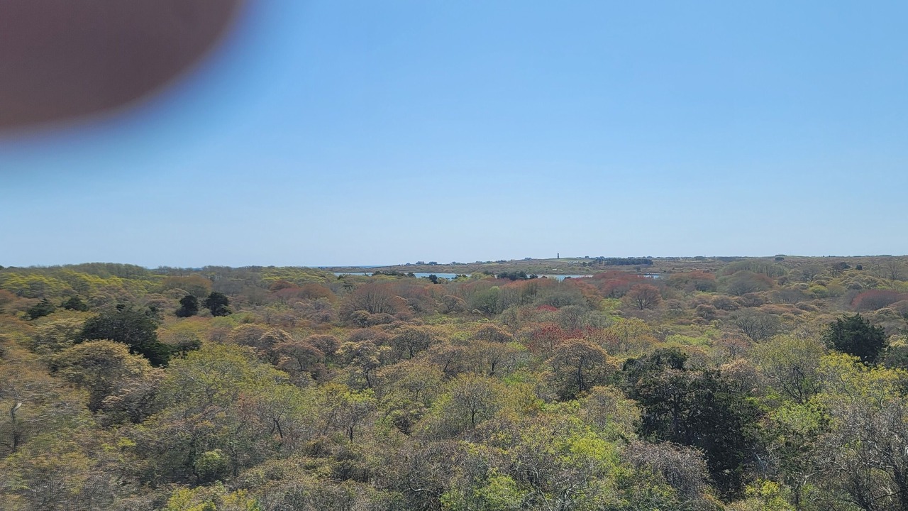 Photo of Others in Nantucket