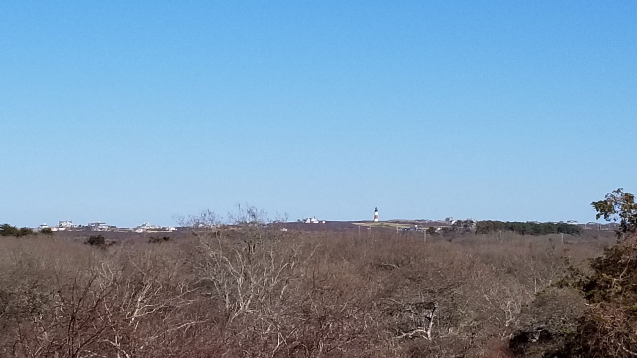 Photo of Others in Nantucket