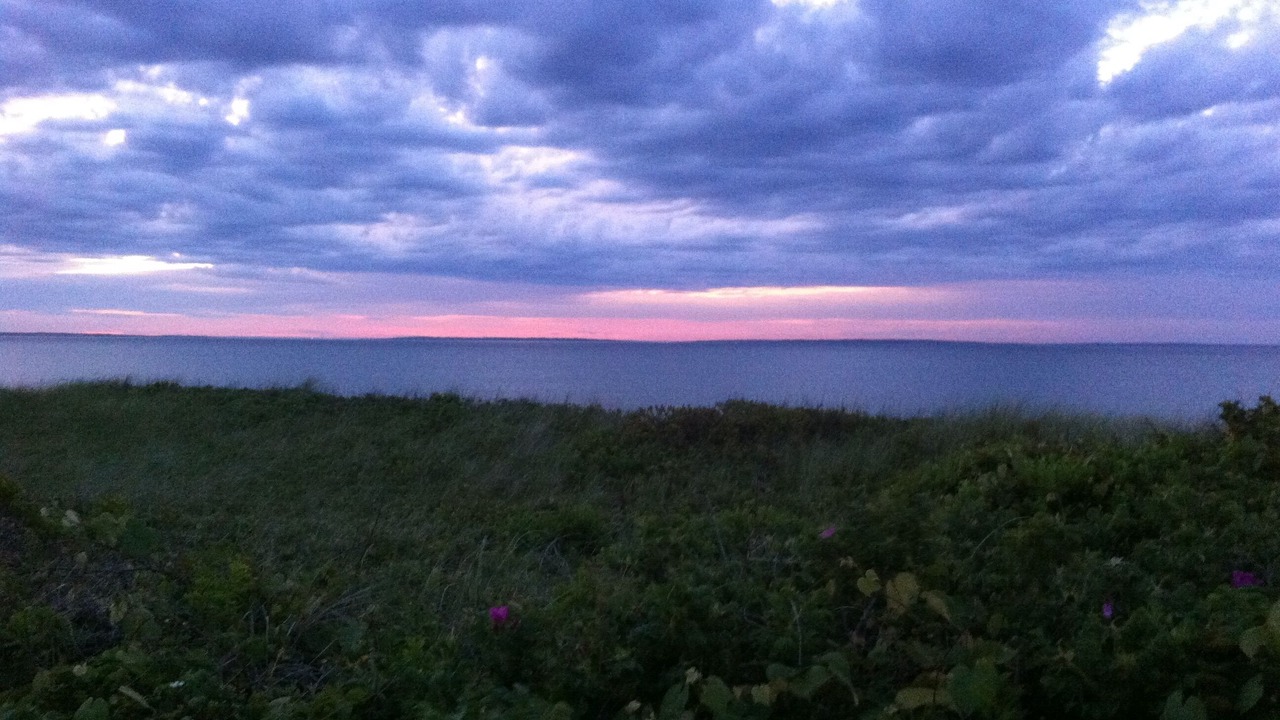 Photo of Others in Aquinnah