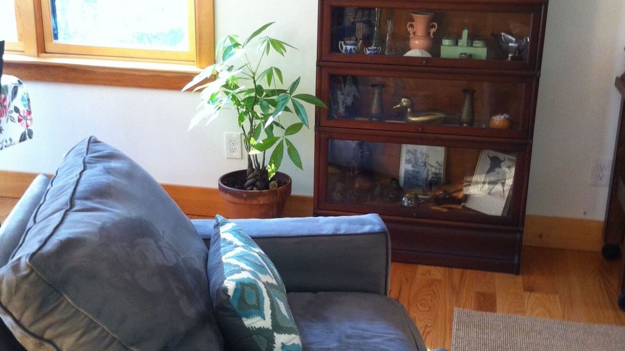 Photo of Livingroom in Aquinnah
