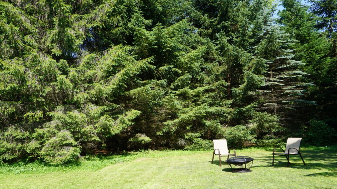 Photo of Others in Roxbury