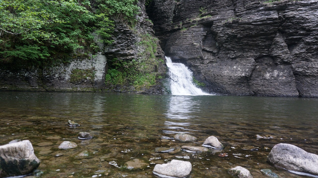 Photo of Others in Roxbury