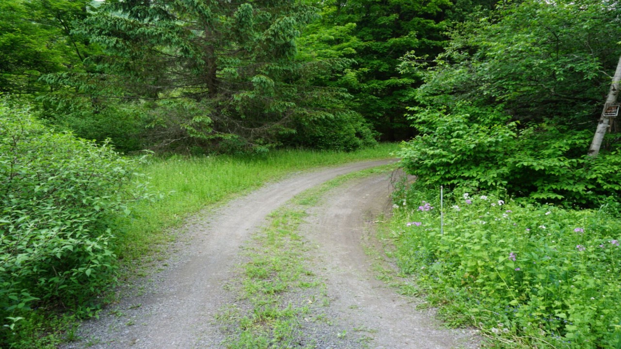 Photo of Others in Roxbury