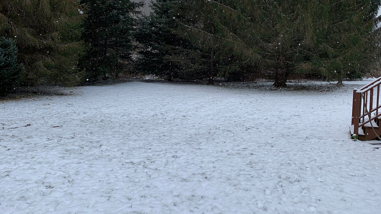 Photo of Others in Roxbury