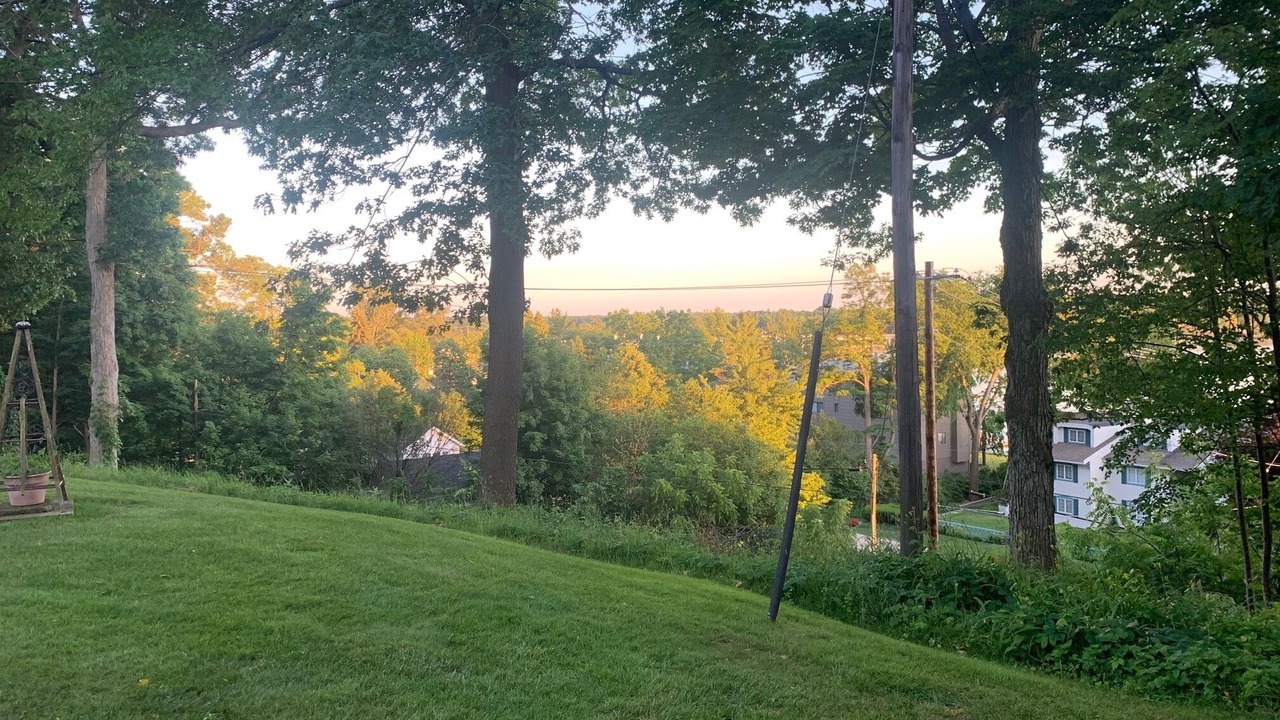 Photo of Outdoor in Saugatuck