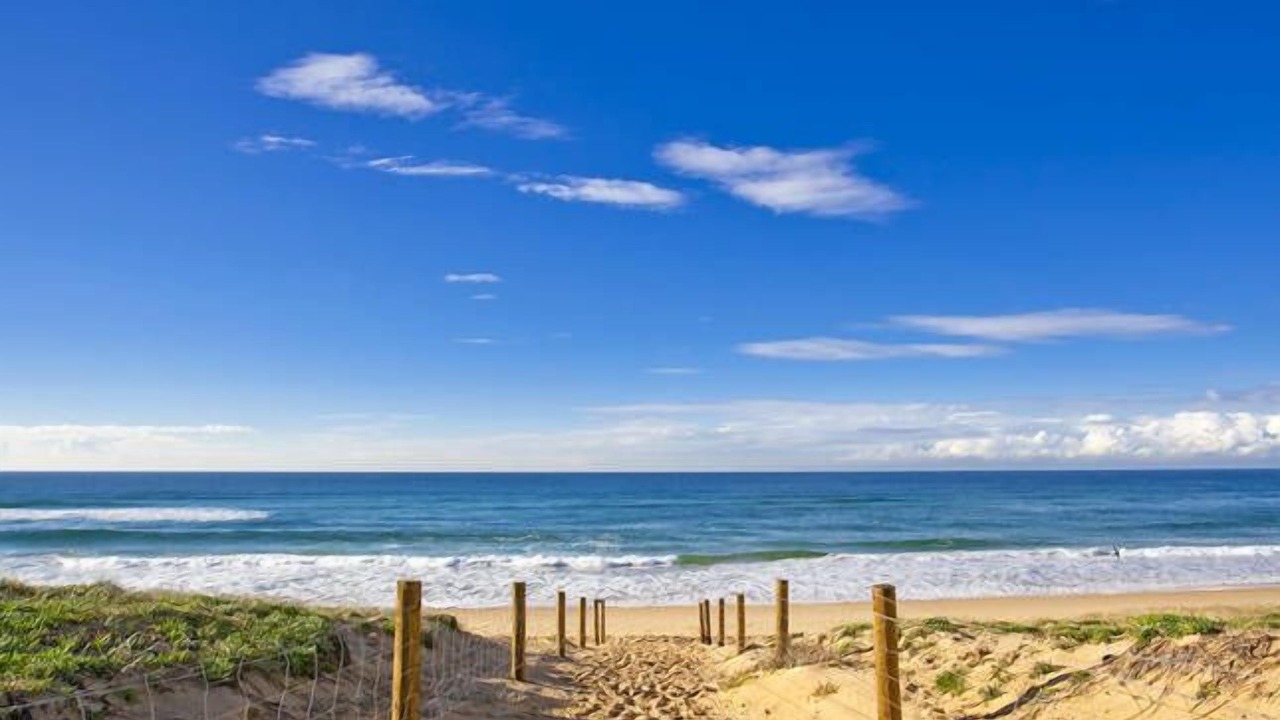 Photo of Others in North Curl Curl