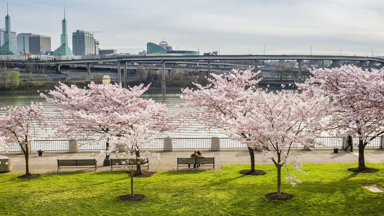 Photo of Others in Downtown Portland