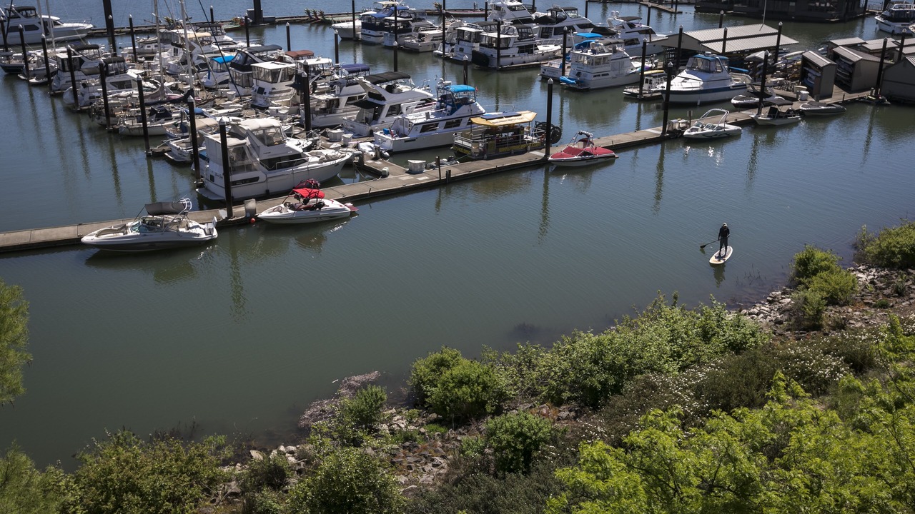 Photo of Others in Downtown Portland