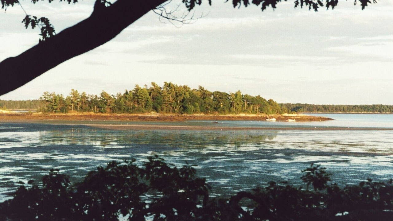 Photo of Others in Freeport