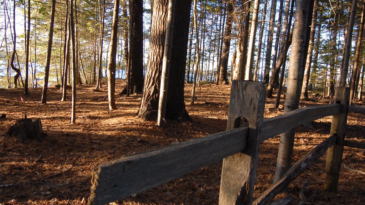 Photo of Others in Freeport