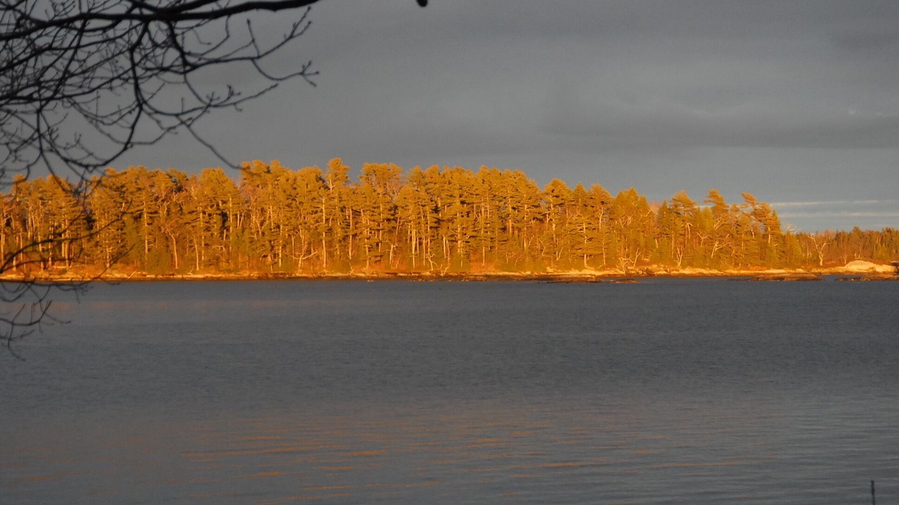 Photo of Others in Freeport