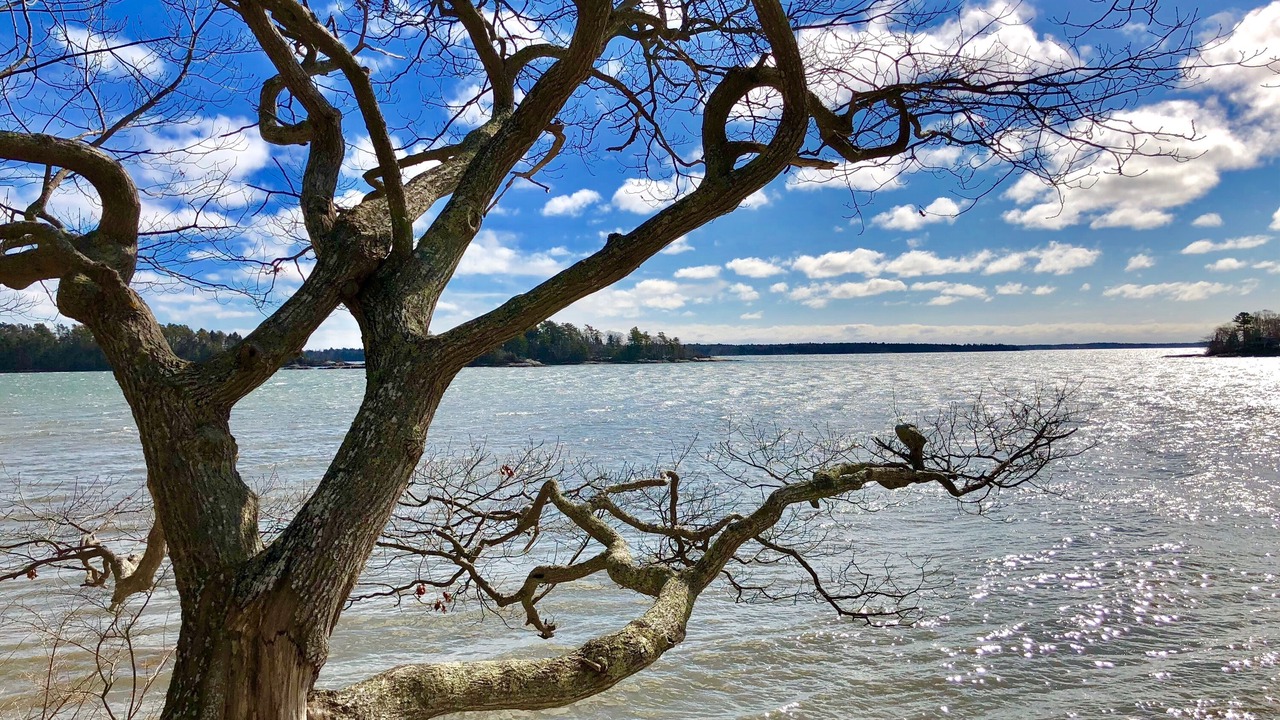 Photo of Others in Freeport