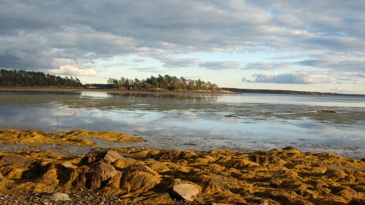 Photo of Others in Freeport