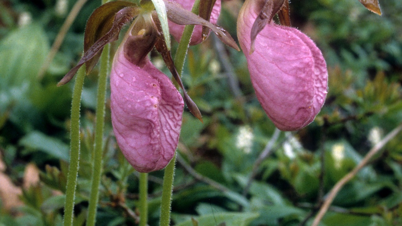 Photo of Others in Freeport