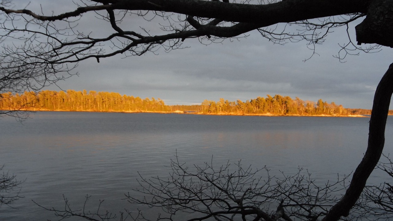 Photo of Others in Freeport