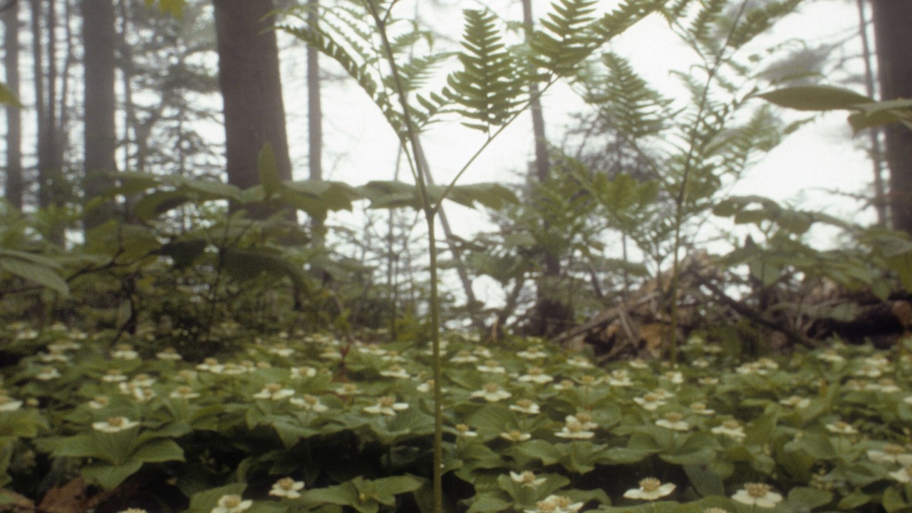 Photo of Others in Freeport