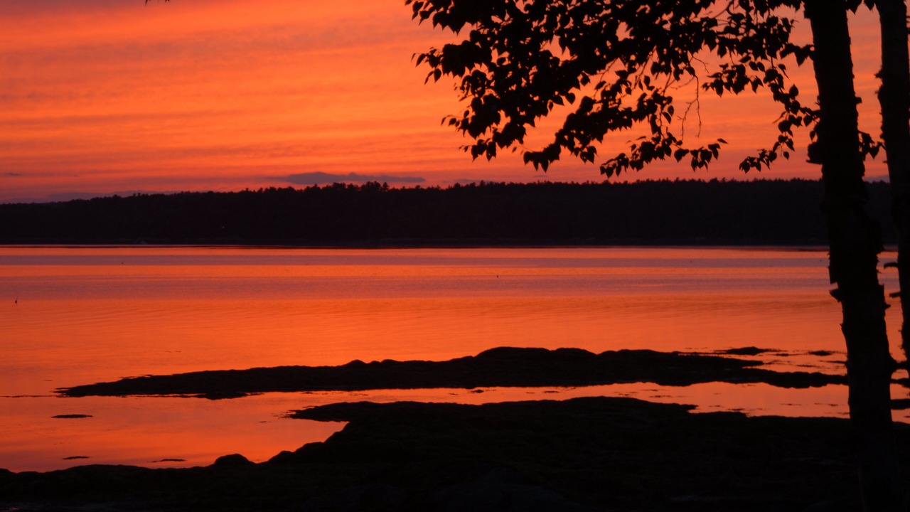 Photo of Others in Freeport