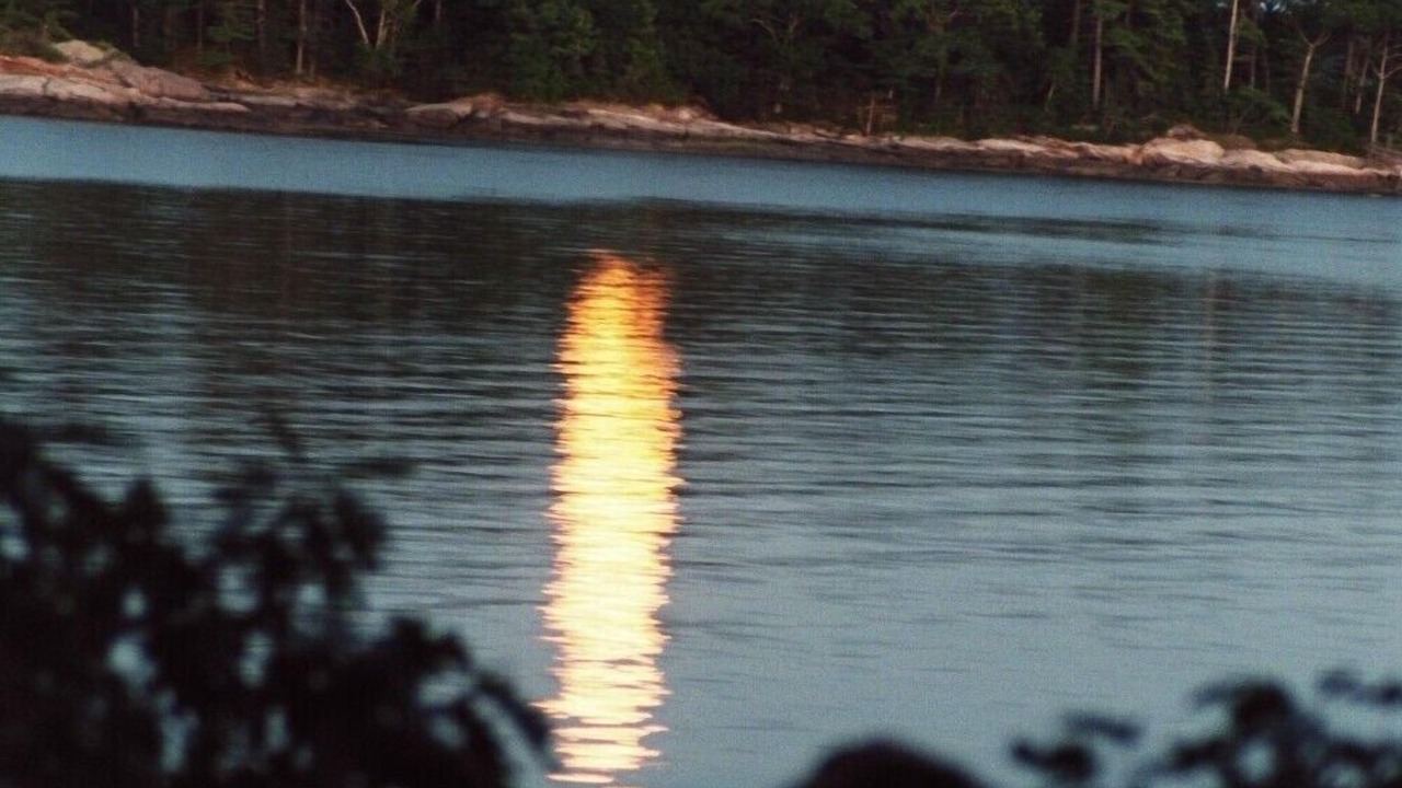 Photo of Others in Freeport