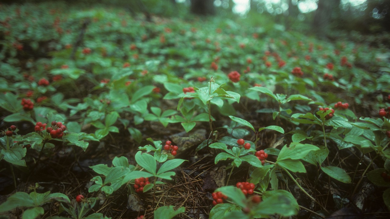 Photo of Others in Freeport