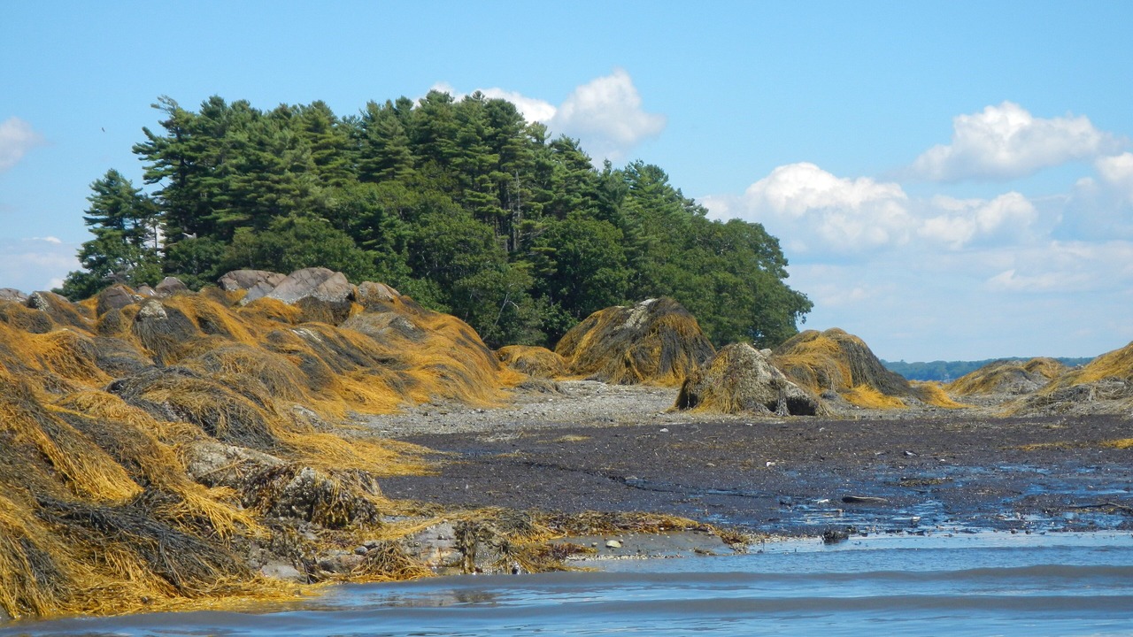 Photo of Others in Freeport