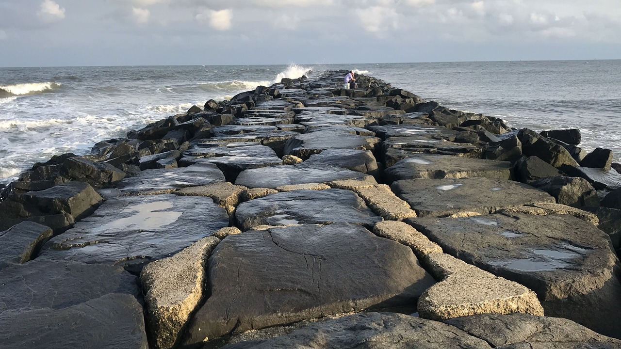 Photo of Others in Brigantine