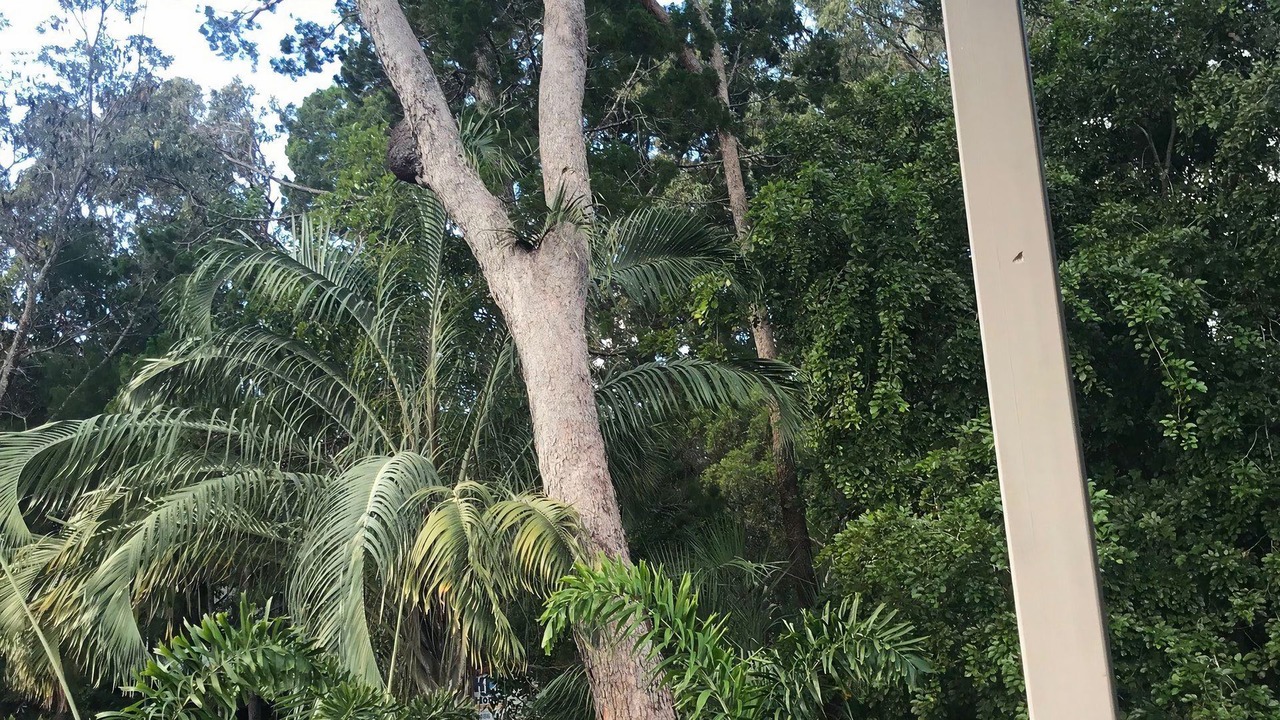 Photo of Outdoor in Rainbow Beach