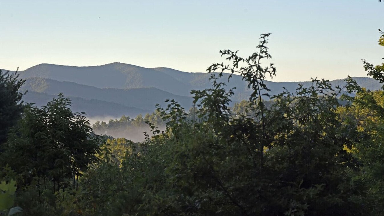 Photo of Others in Foxfire Estates
