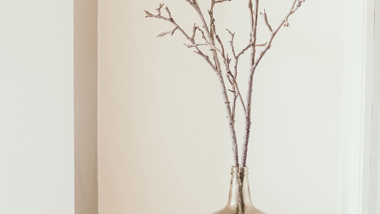 Photo of Others in Port Fairy