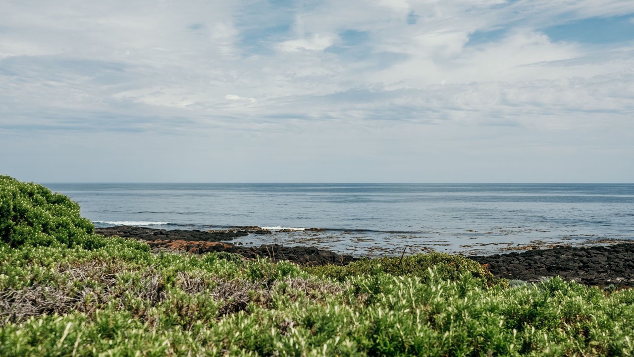 Photo of Others in Port Fairy