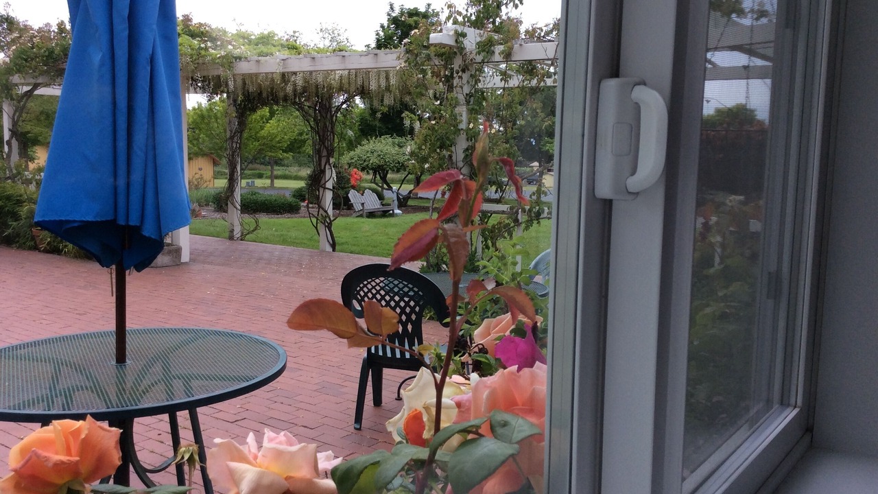 Photo of Outdoor in Lopez Island