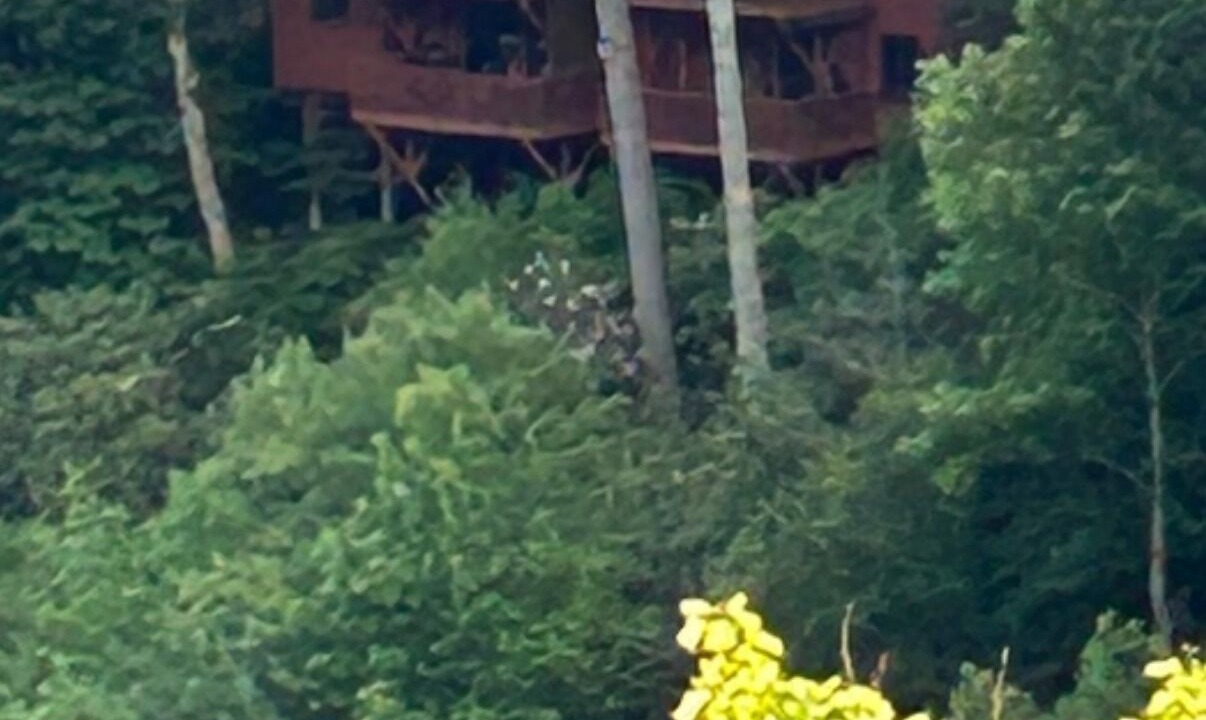 Photo of Outdoor in Lake Toxaway