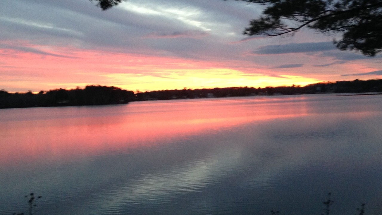 Photo of Others in Ponds of Plymouth