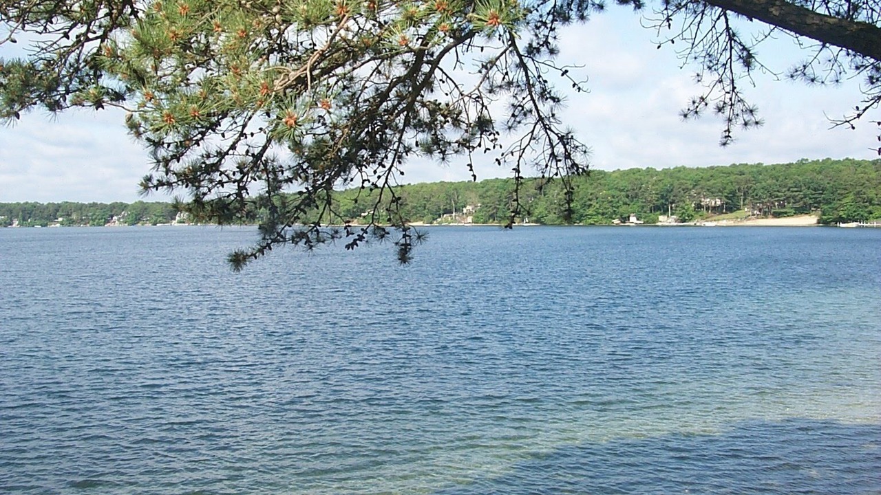 Photo of Others in Ponds of Plymouth