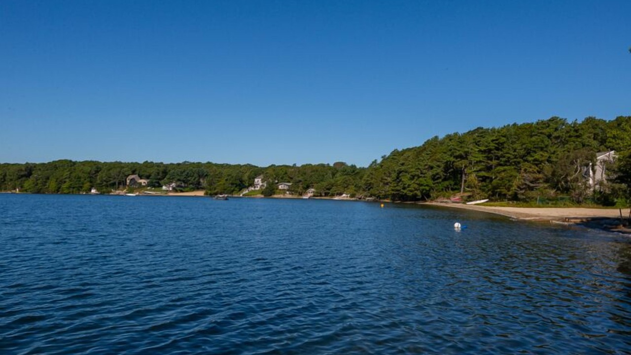 Photo of Others in Ponds of Plymouth