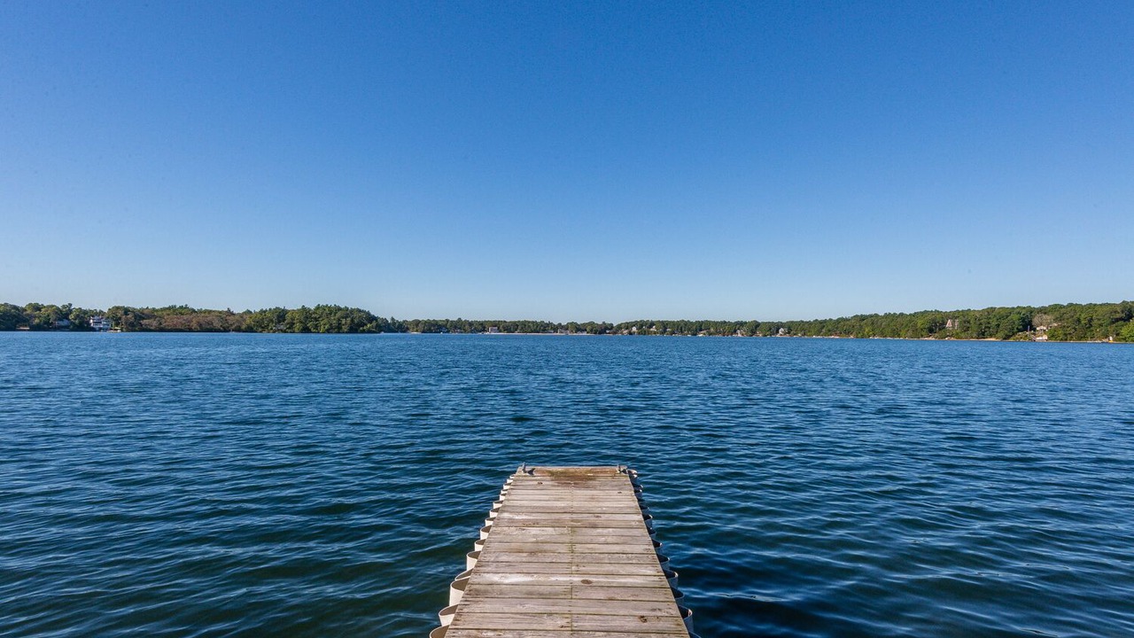Photo of Others in Ponds of Plymouth