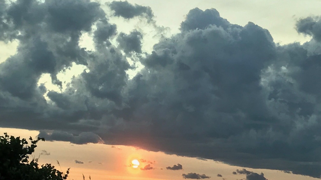 Photo of Others in Fairhaven