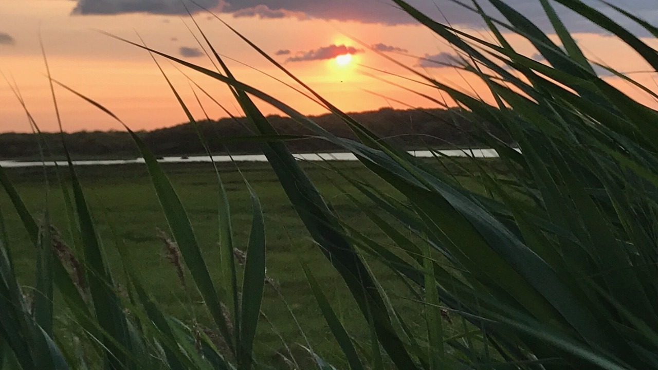 Photo of Outdoor in Fairhaven