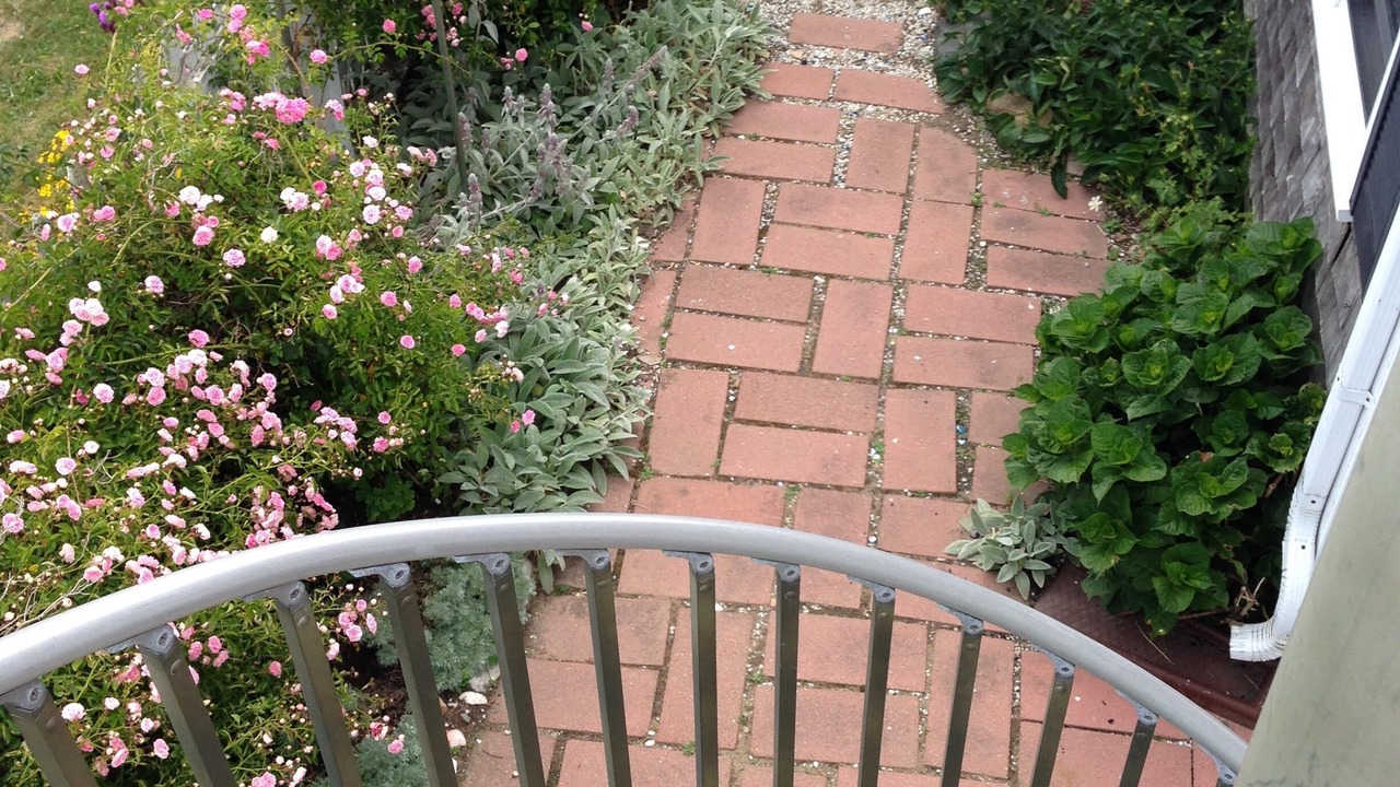 Photo of Outdoor in Fairhaven