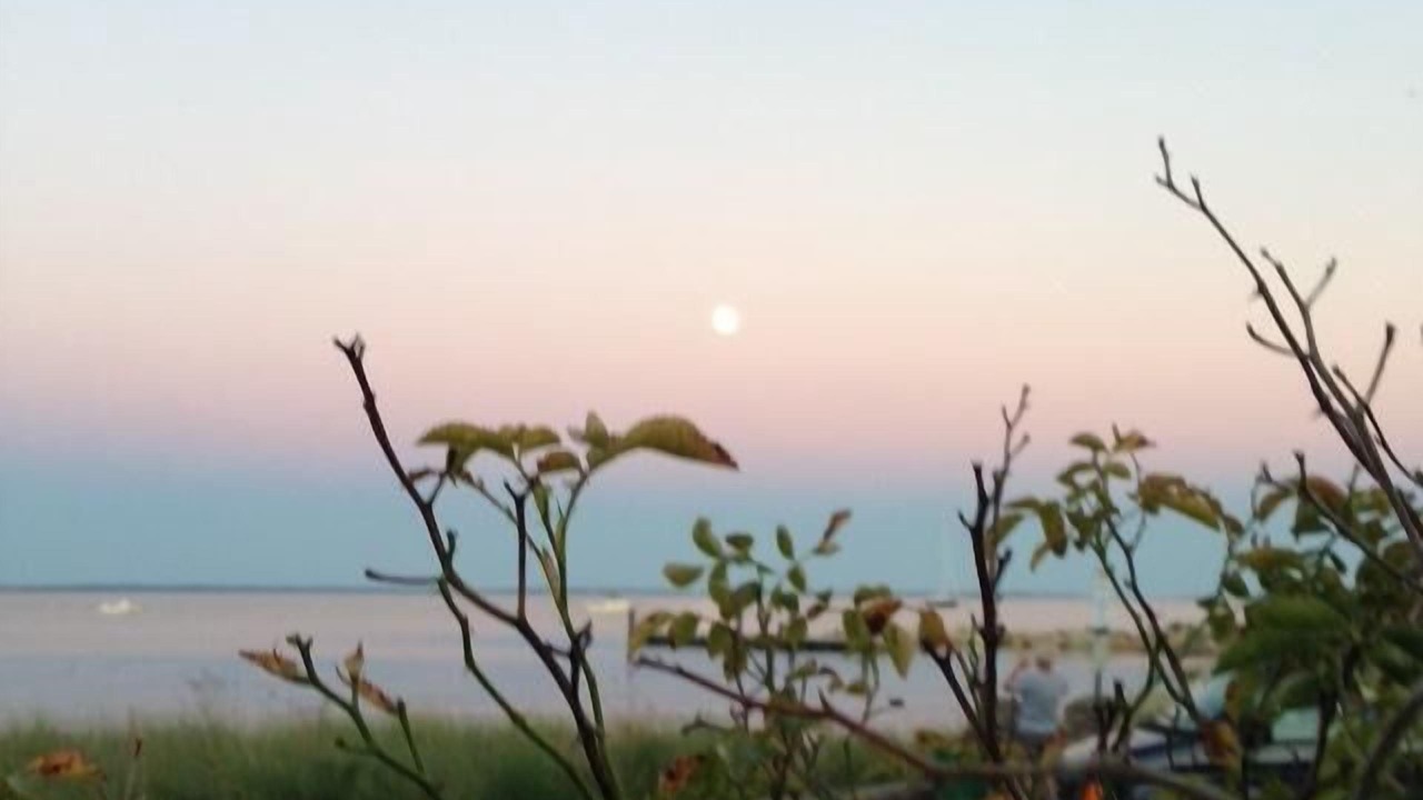 Photo of Others in Fairhaven