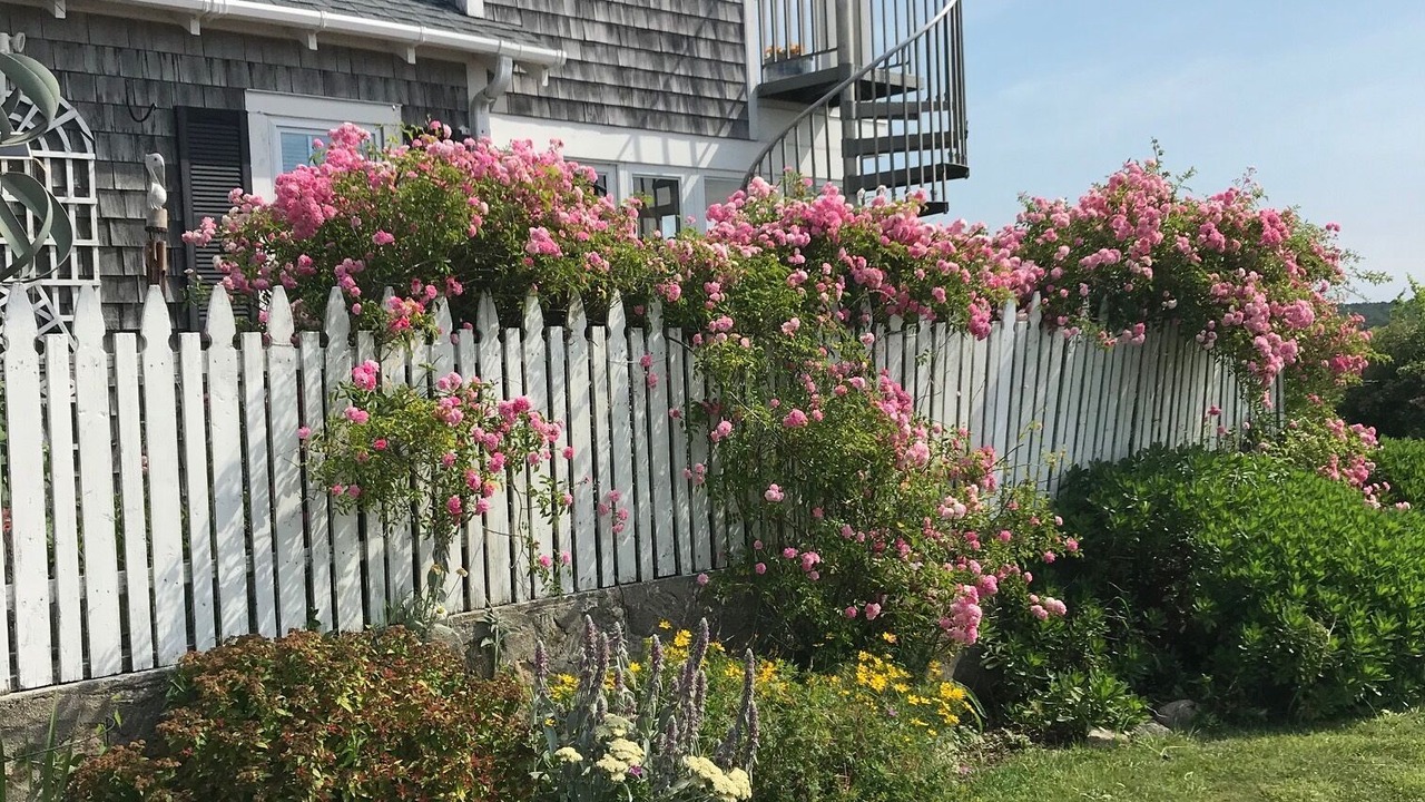 Photo of Outdoor in Fairhaven