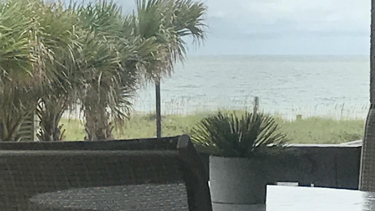 Photo of Others in Fernandina Beach